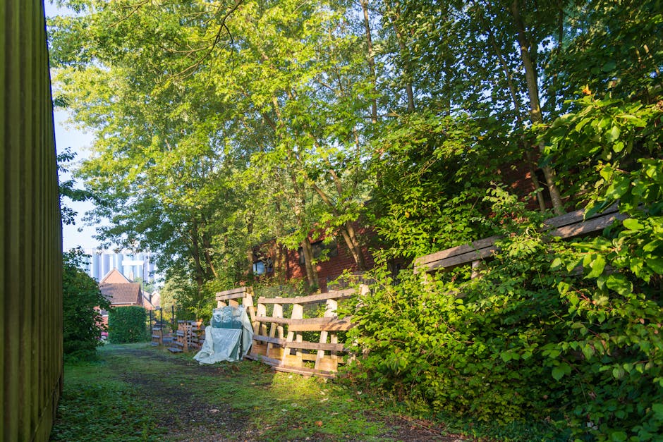 A narrow outdoor pathway in a residential area, bordered on the left by a wooden fence and on the right by a weathered wooden fence topped with lush green foliage. The scene features various discarded wooden pallets stacked against the right fence, some leaning at slight angles, with a white tarp or plastic sheet draped over a pile of unidentified waste or debris. The ground is a dirt and grass mixture, uneven in places, with conditions suggesting recent clearance or removal activity. The background reveals mature trees with dense green leaves creating a shaded canopy, and part of a brick building is partially visible behind the foliage. Sunlight filters through the leaves, casting dappled light onto the scene, which appears to be a private outdoor area undergoing garden or waste clearance, with materials possibly awaiting collection by a waste removal service like Waste Removal Tooting. The setting reflects an environment prepared for external rubbish collection or disposal, with an emphasis on private waste handling and clearance.